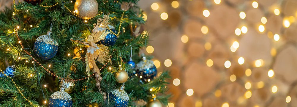 How to keep your Christmas tree alive and looking good - Home & Garden Extras