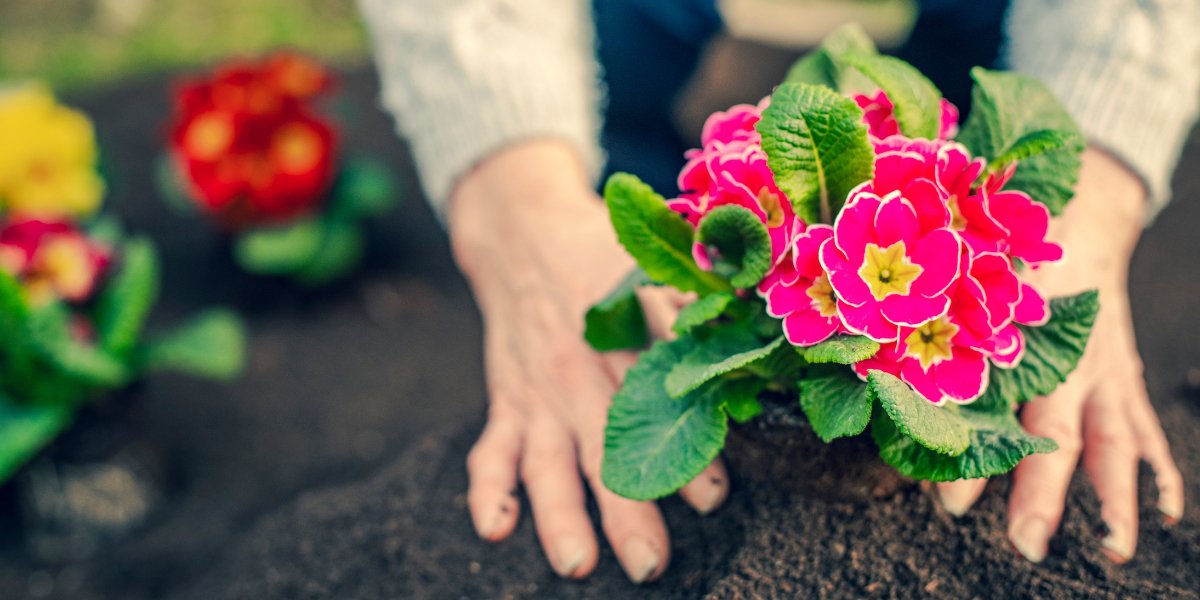 Our top 10 gardening tips for April - Home & Garden Extras