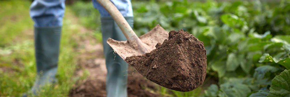 Best spade for digging holes online