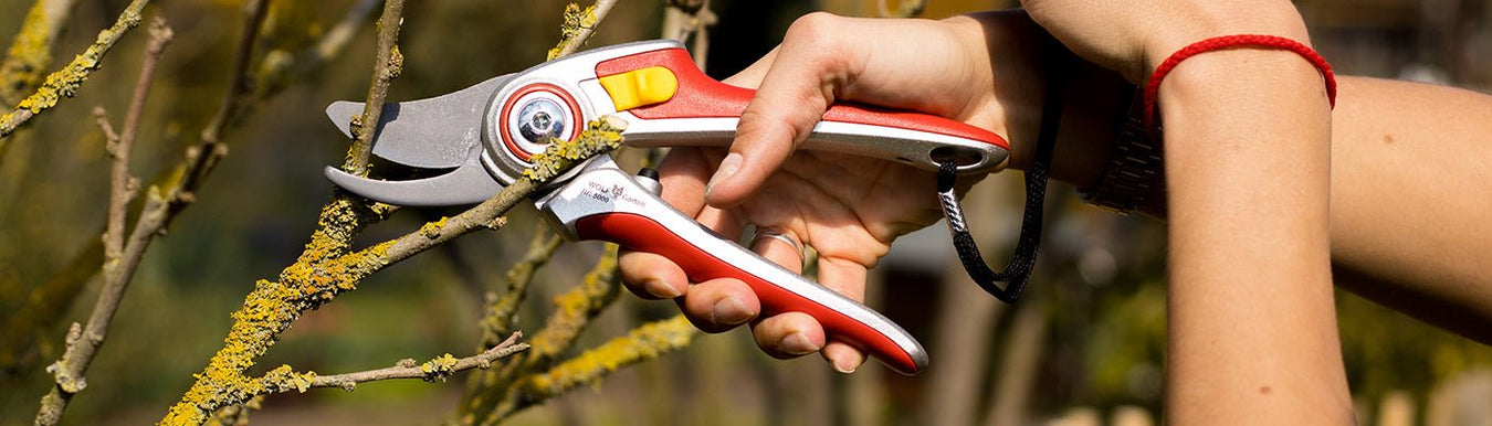 Secateurs - Home & Garden Extras