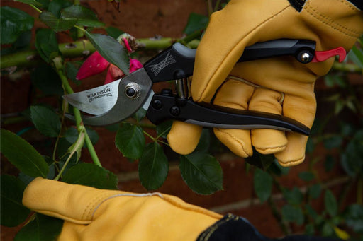 Aluminium Bypass Pruners_Pruners