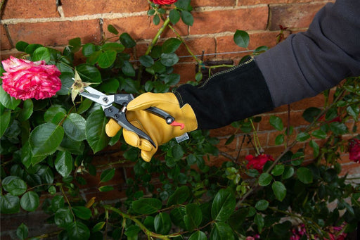 Straight Pruning Snip_Pruners