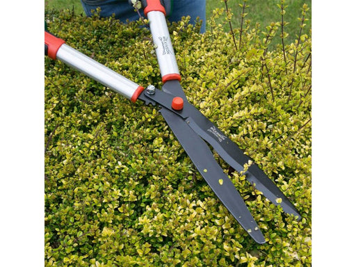 Geared Hedge Shear_Shears