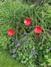 Poppy Garden Stakes - Pack of 3_Decorative Stakes