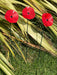 Poppy Garden Stakes - Pack of 3_Decorative Stakes