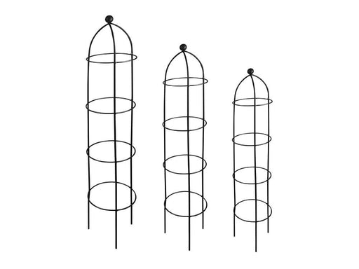 Growing Obelisks_Obelisks