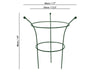 Peony Cage Plant Support_Cages & Grow Throughs Plant Supports