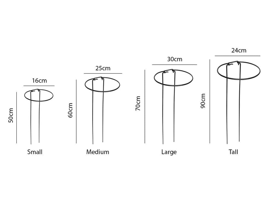 Plant Support Hoops_Bows Hoops Props & Twists