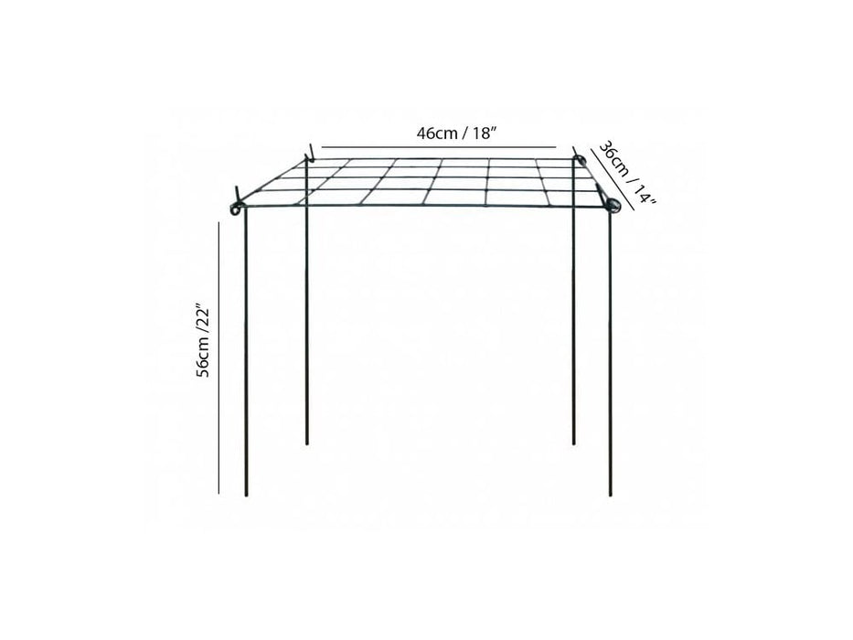 Grow Through Plant Supports - Rectangular_Cages & Grow Throughs Plant Supports