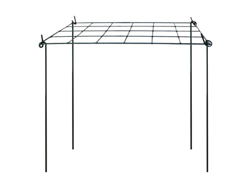 Grow Through Plant Supports - Rectangular_Cages & Grow Throughs Plant Supports