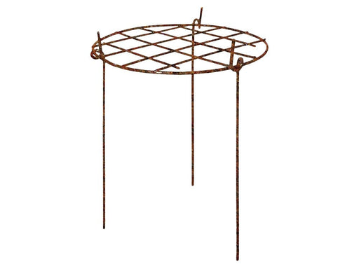 Rusty Grow Through Plant Supports - Round - Raw steel designed to rust_Cages & Grow Throughs Plant Supports