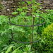 Heavy Duty Peony Cage Plant Support_Cages & Grow Throughs Plant Supports