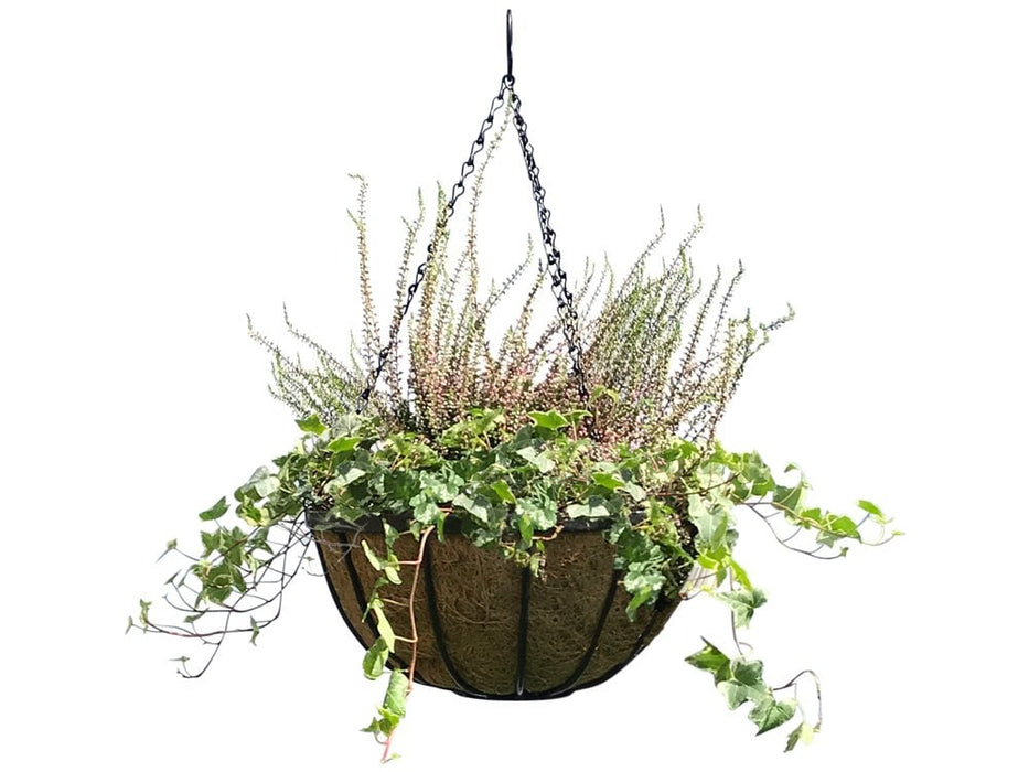 Hanging Basket/Hanging Cauldron Planter_Hanging Baskets