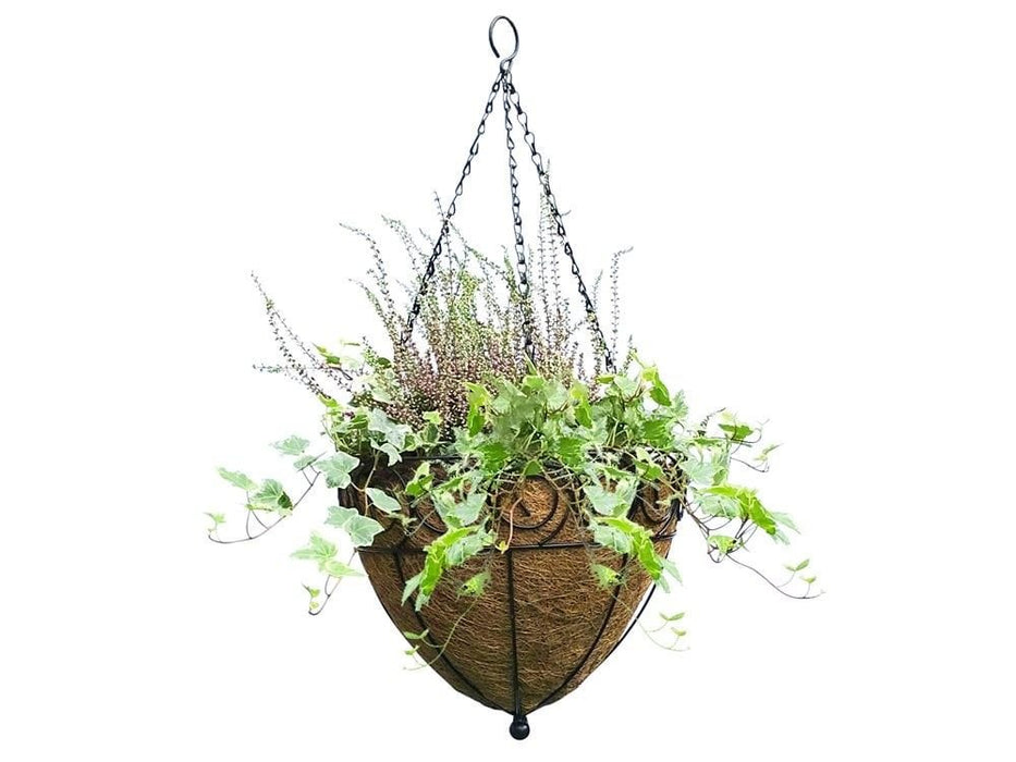 Hanging Basket Cone - Scrolled_Hanging Baskets