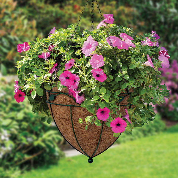 Hanging-Basket.jpg__PID:b96cc060-1671-414d-9889-0458bfdafec8