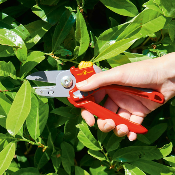 Comfort Plus Anvil Secateurs