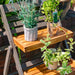 Alderley Plant Ladder_Planters