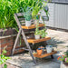 Alderley Plant Ladder_Planters