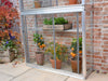 Westminster 3ft 4" Small Greenhouse (Frame & Shelves)_Green Houses