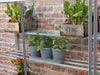 Westminster 3ft 4" Small Greenhouse (Frame & Shelves)_Green Houses