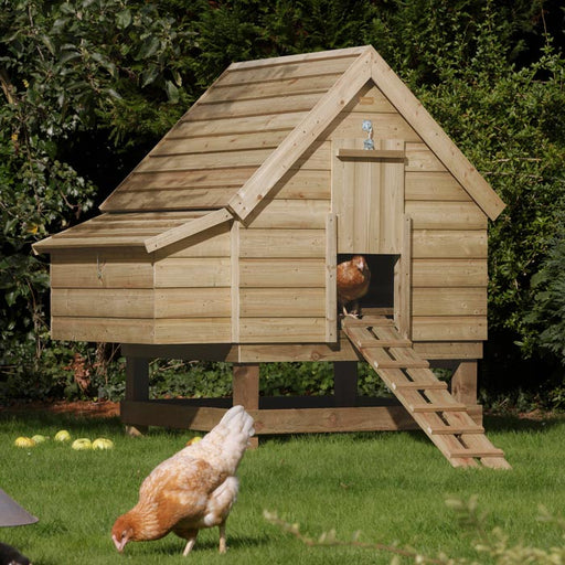 Chicken Coop_Wooden Sheds