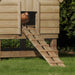 Chicken Coop_Wooden Sheds