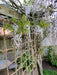 Jute Rope Trellis_Garden Trellises