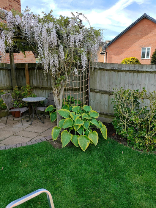 Jute Rope Trellis_Garden Trellises