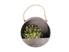 Round Wall Planter_Wall Mounted Planters