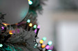 Glow - worm Christmas Lights - Aurora_Christmas Lights