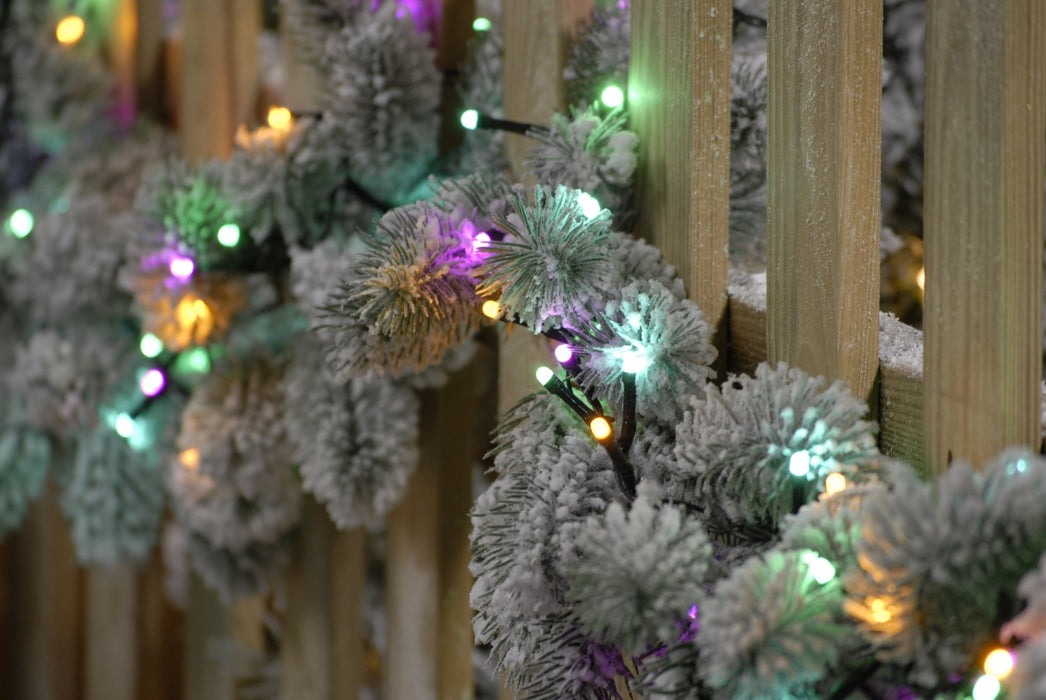 Glow - worm Christmas Lights - Aurora_Christmas Lights