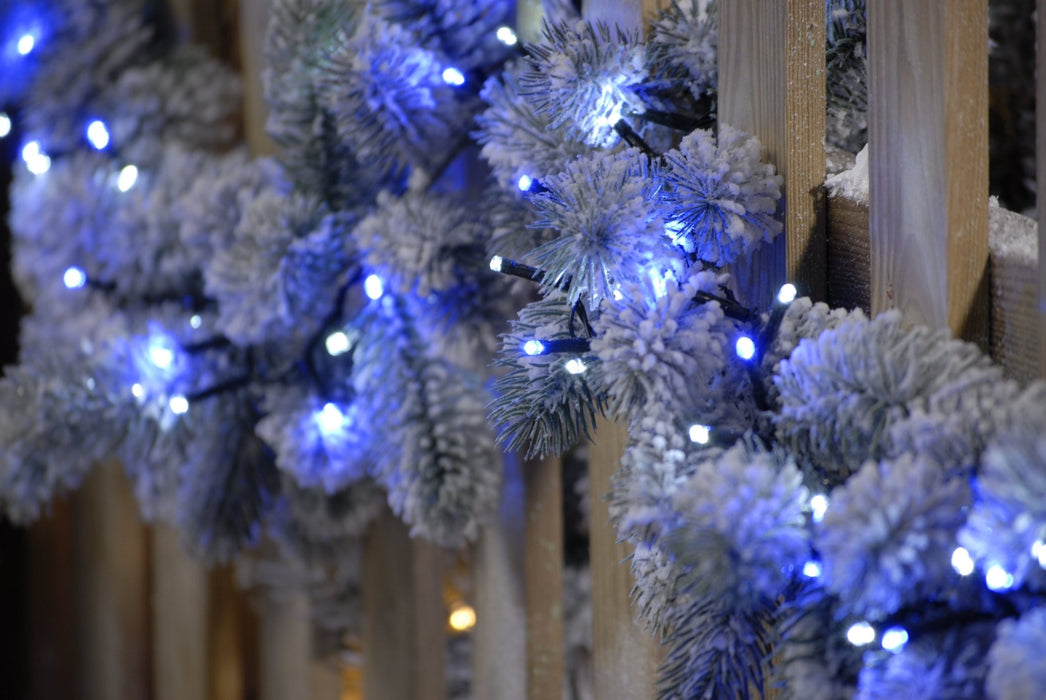 Firefly Lights - Arctic (Blue & White)_Christmas Lights