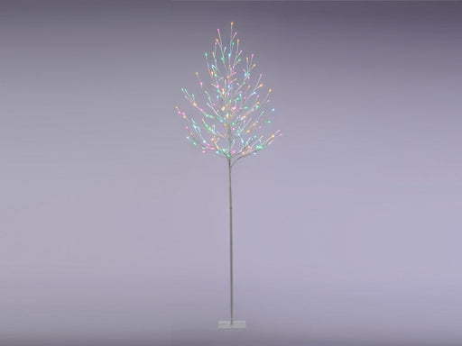 Aurora LED Twig Tree_Indoor Christmas Decorations