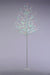 Jolly Holly LED Twig Tree_Indoor Christmas Decorations