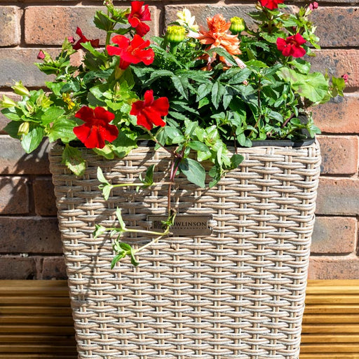 Square Rattan Planter - 2 Pack_Planters