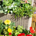 3 Tier Rattan Planter Design_Planters