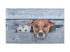 Print Cat & Dog Mat_Doormats