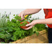 Herb Garden (FSC 100%)_VegTrug