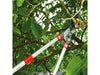 Power Cut Bypass Lopper Telescopic_Loppers