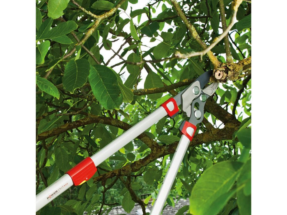 Power Cut Bypass Lopper Telescopic_Loppers