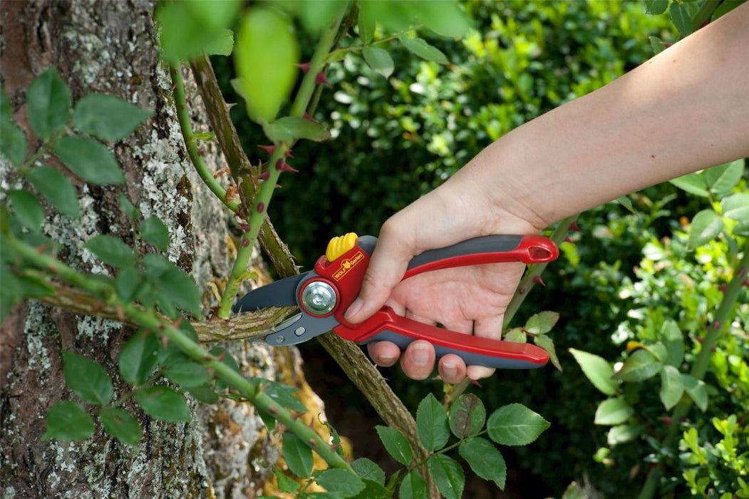 Comfort Plus Anvil Secateurs_Secateurs