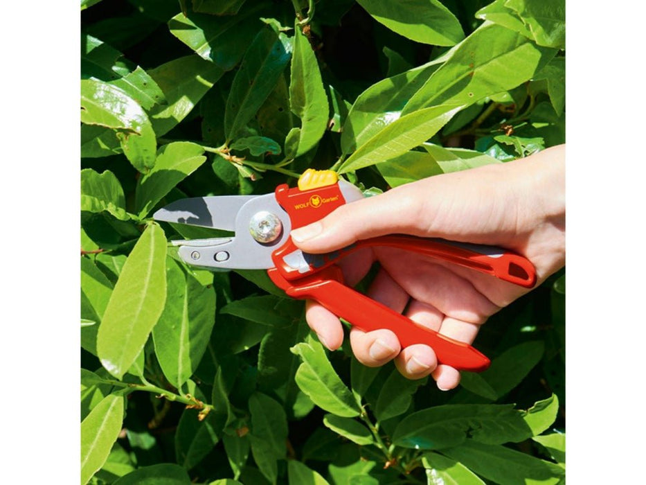 Comfort Plus Anvil Secateurs_Secateurs