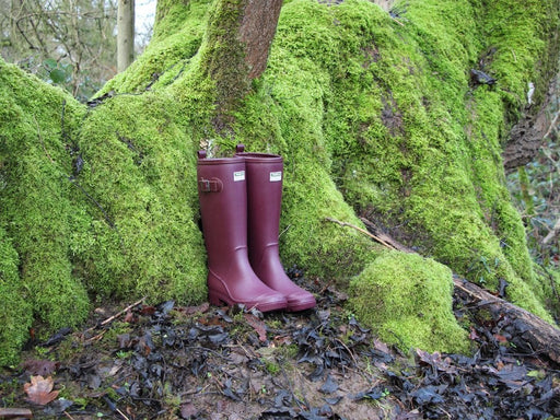 The Burford Wellington Boots Aubergine_Wellington Boots