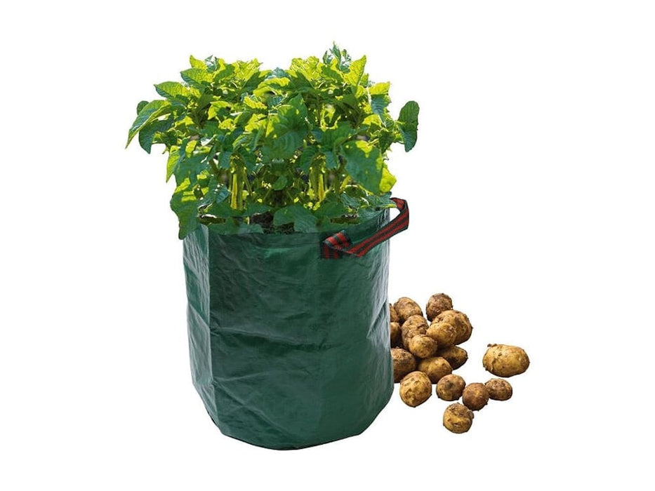 Potato Bag_Grow Bags