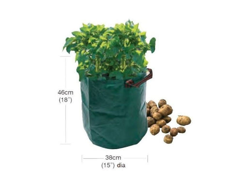 Potato Bag_Grow Bags