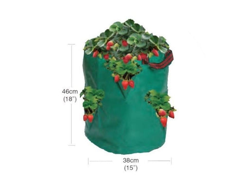 Strawberry/Herb Bag_Grow Bags