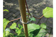 Galvanised Plant Rings_Strings & Ties