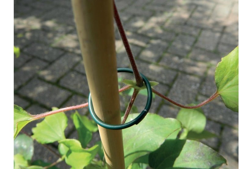 Plastic - Coated Plant Rings_Strings & Ties