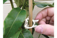 Bio - Based Plant Clips_Strings & Ties