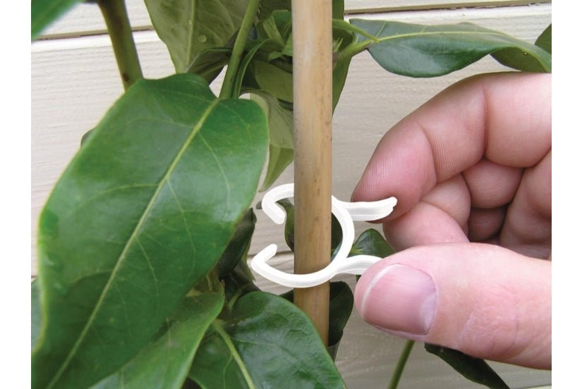 Bio - Based Plant Clips_Strings & Ties